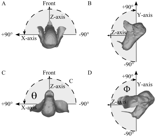 Figure 12