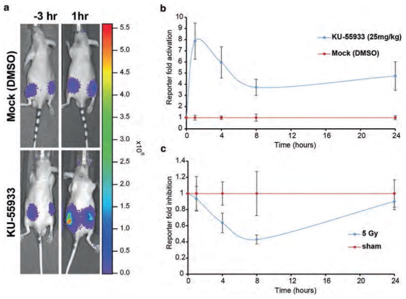 Fig. 4