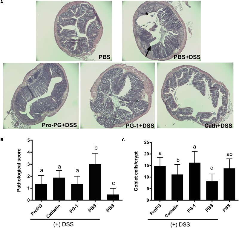 FIGURE 4