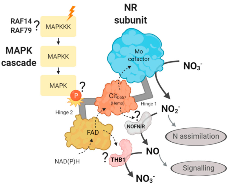 Figure 12