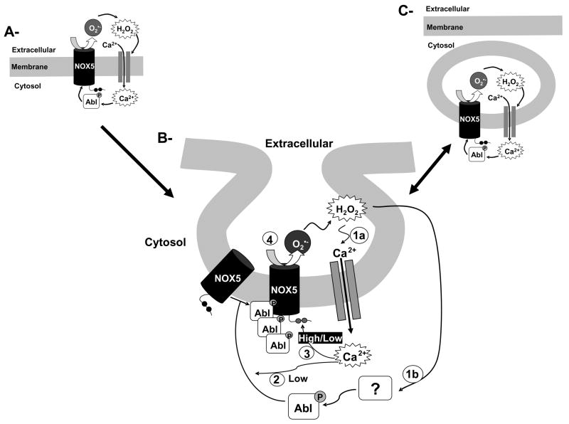 Fig. 9