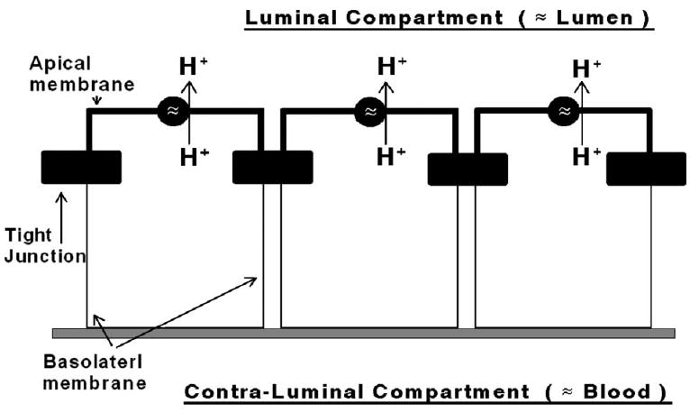 FIG. 1