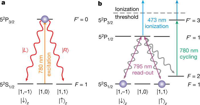 Fig. 3