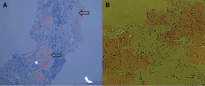 Figure 3.