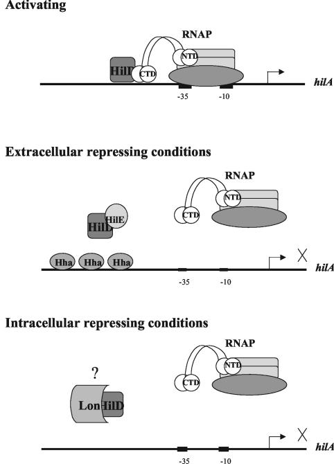 FIG. 6.