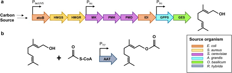 Fig. 1