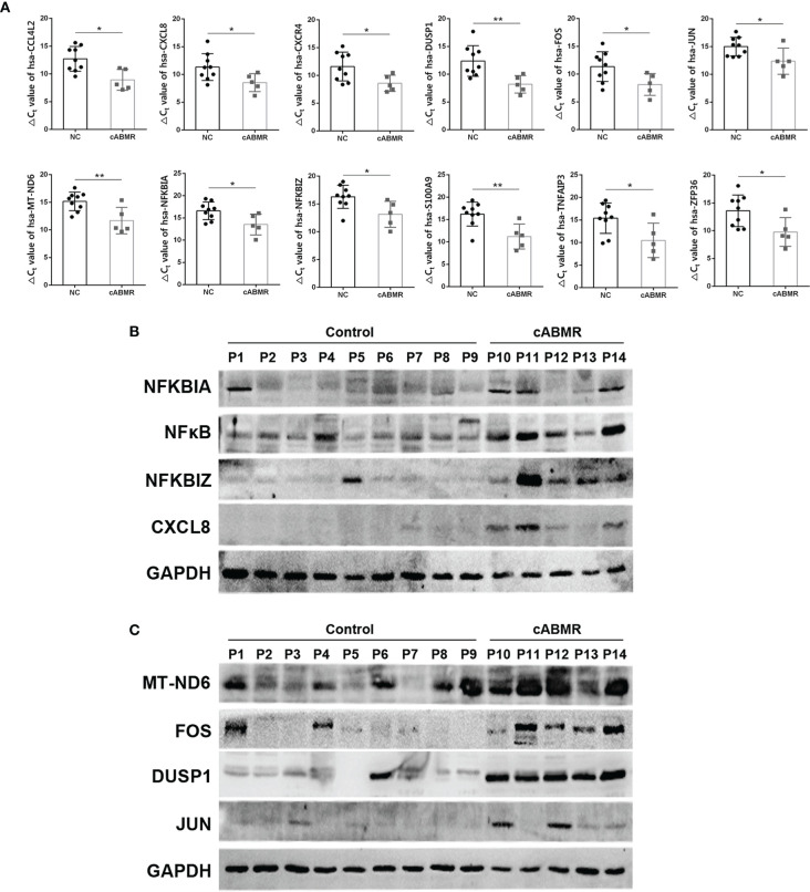 Figure 7