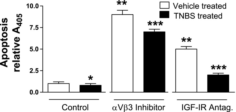 Fig. 10.