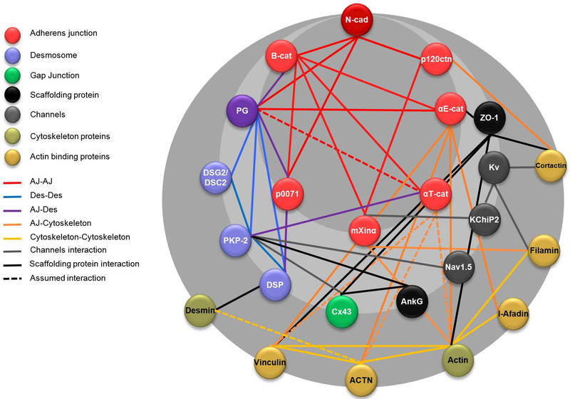 Figure 4: