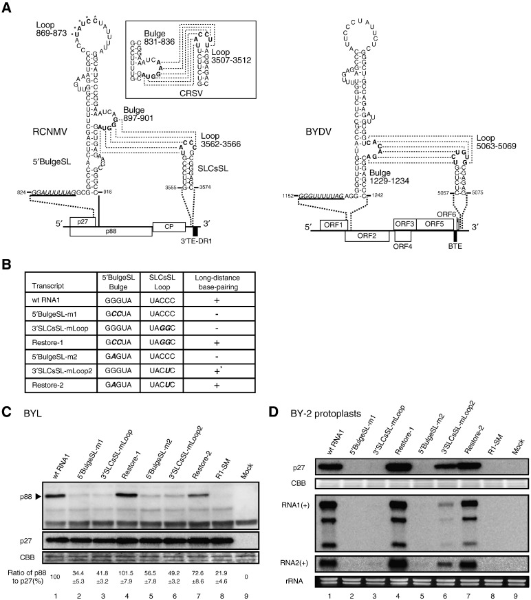 Fig. 5