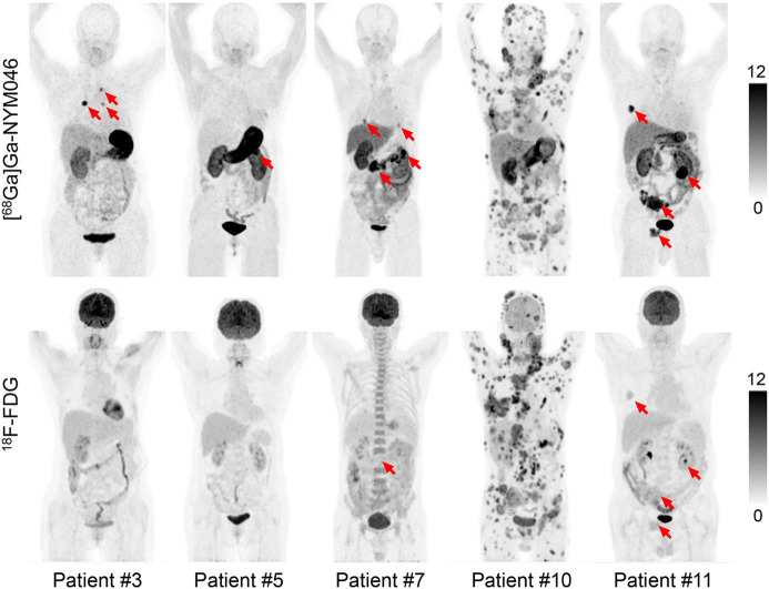 FIGURE 4.