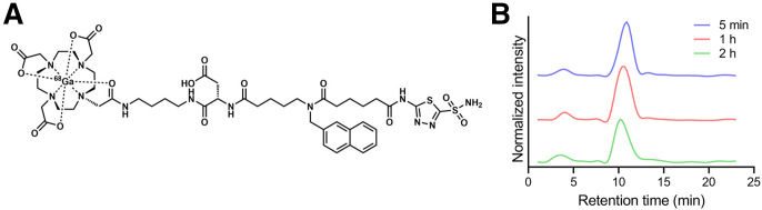 FIGURE 1.