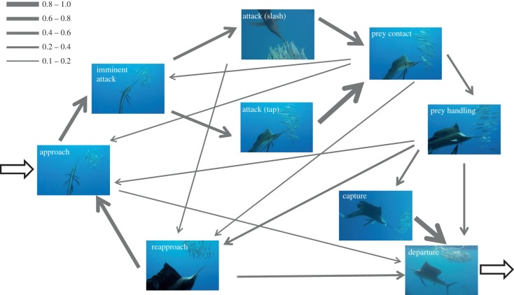 Figure 2.