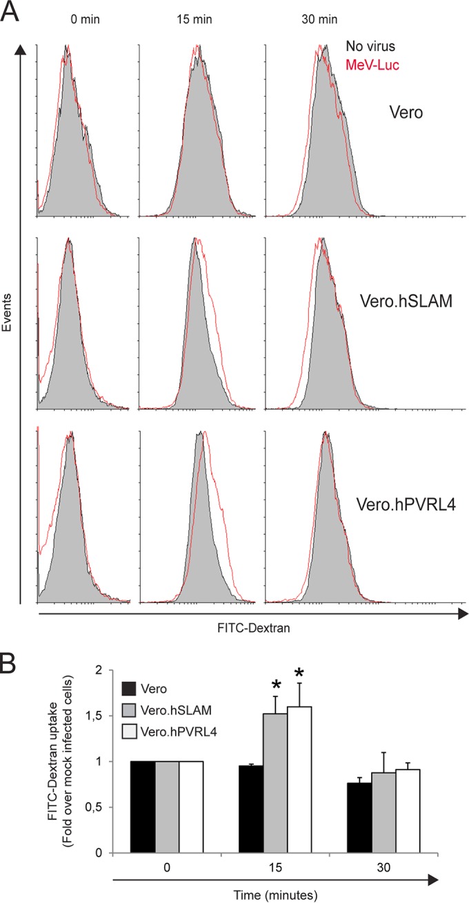 FIG 3