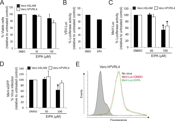 FIG 6