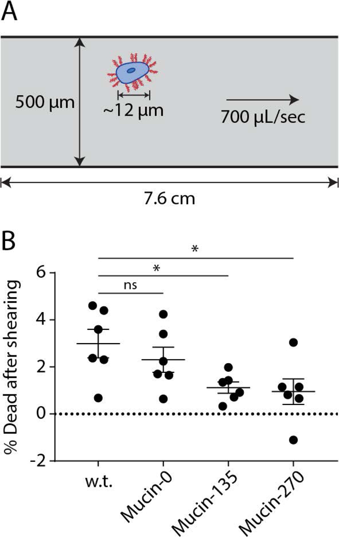 Figure 5 –