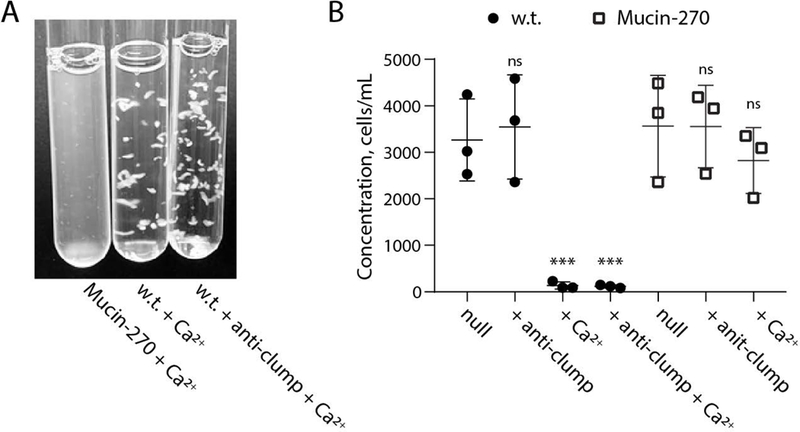 Figure 4 –