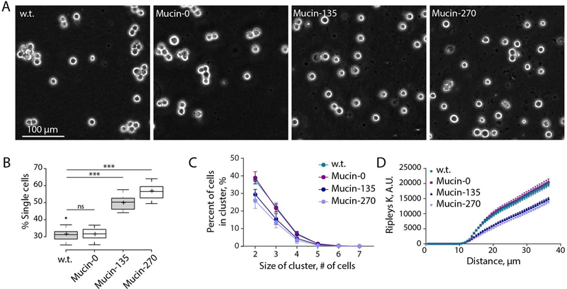 Figure 3 –