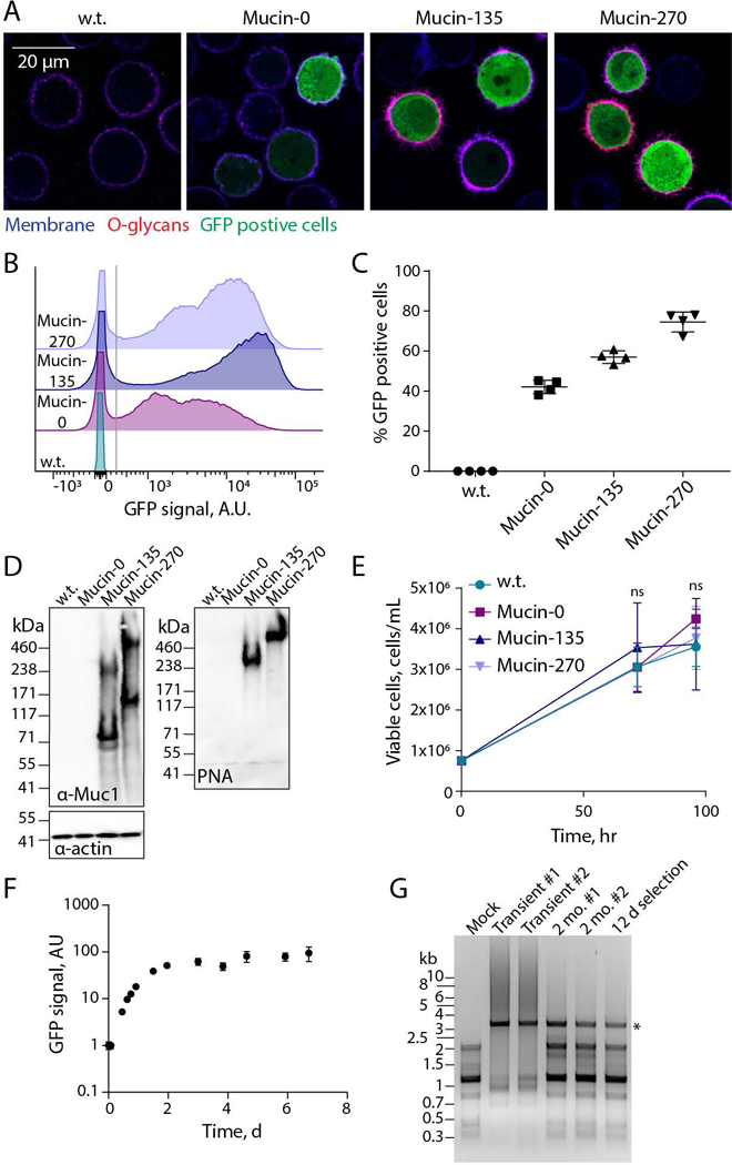 Figure 2 –