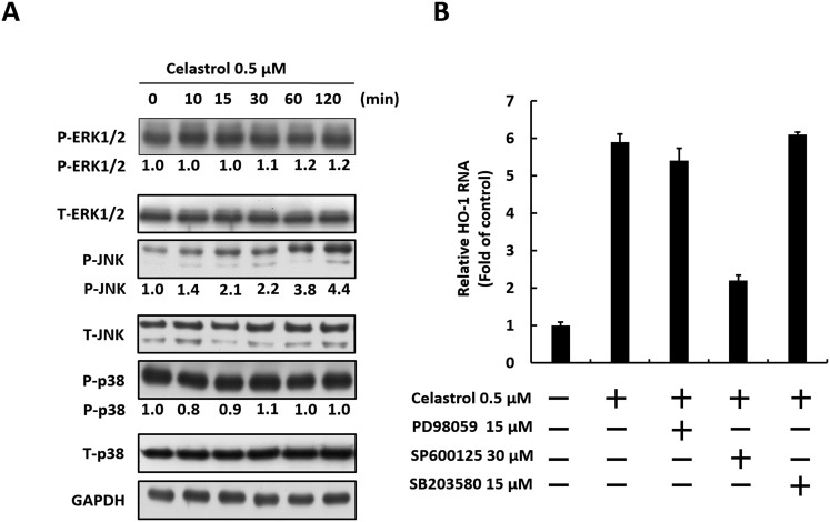 Fig. 7