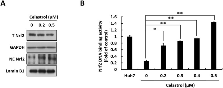 Fig. 6