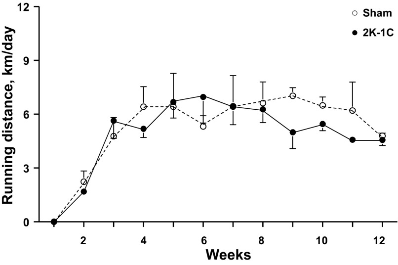 Fig. 6.