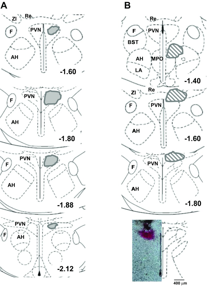 Fig. 7.