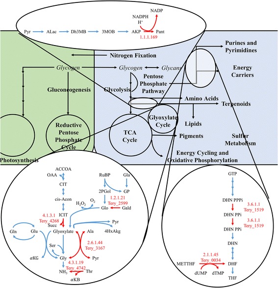 Fig. 9