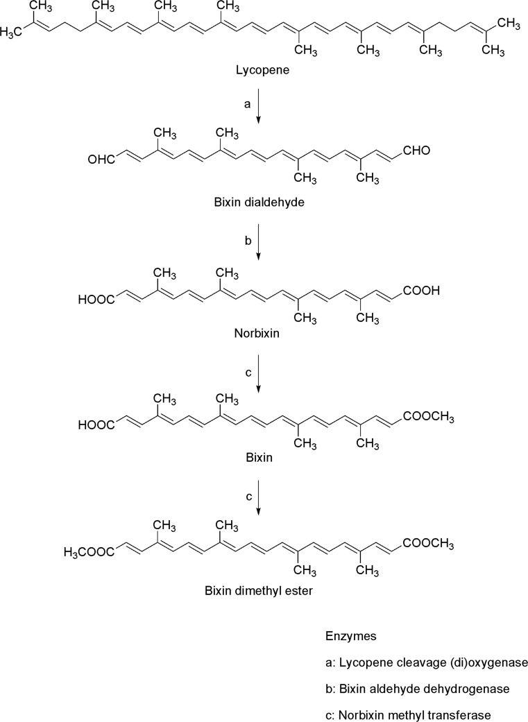 Fig. 6