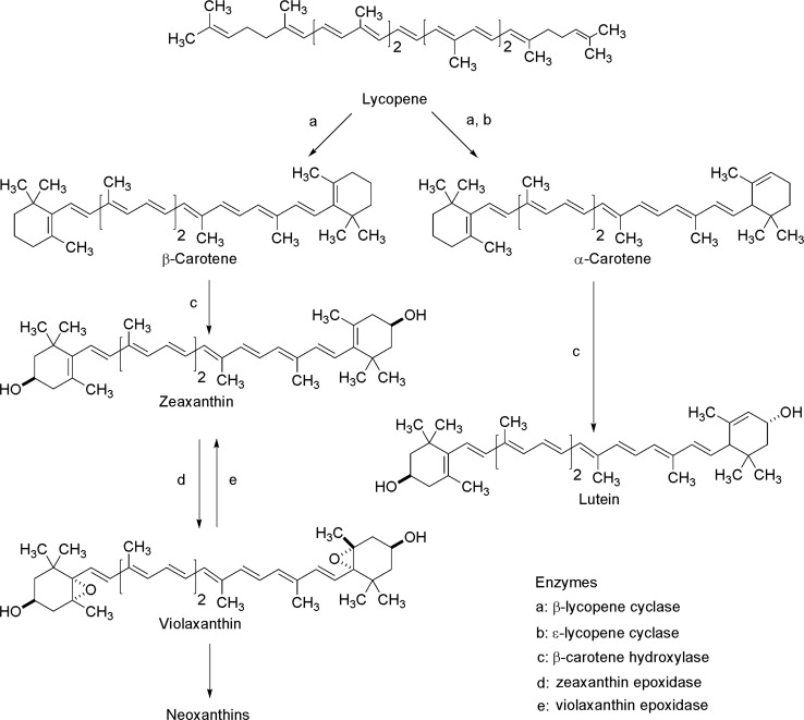 Fig. 5