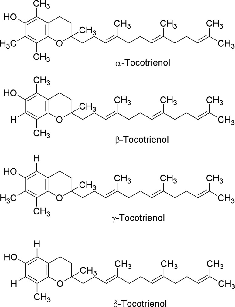 Fig. 8