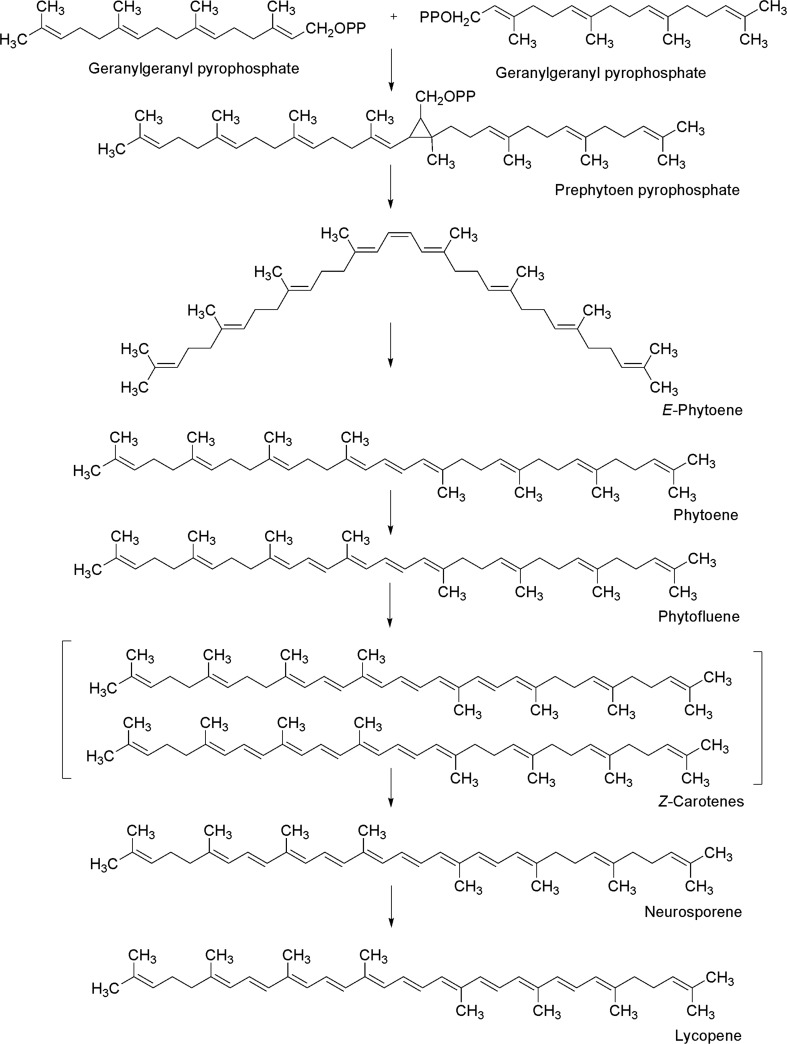 Fig. 4