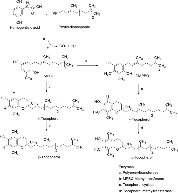 Fig. 9