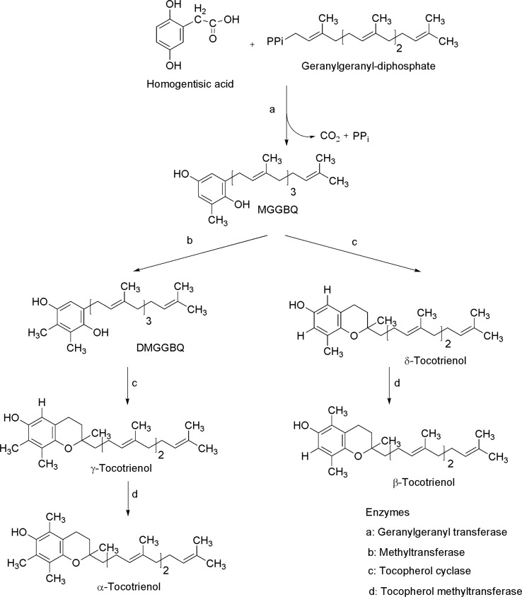 Fig. 10