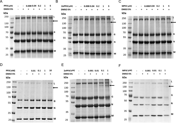 FIG 3