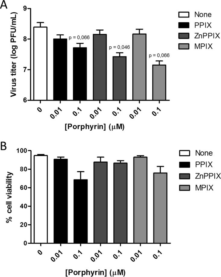 FIG 6