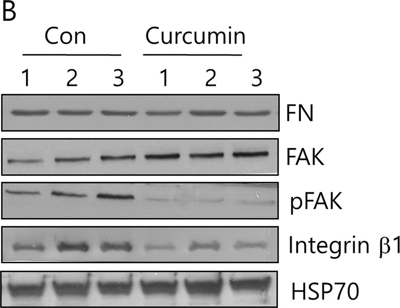 graphic file with name 12276_2019_365_Fig2_HTML.jpg