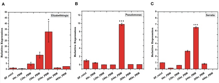 Figure 5