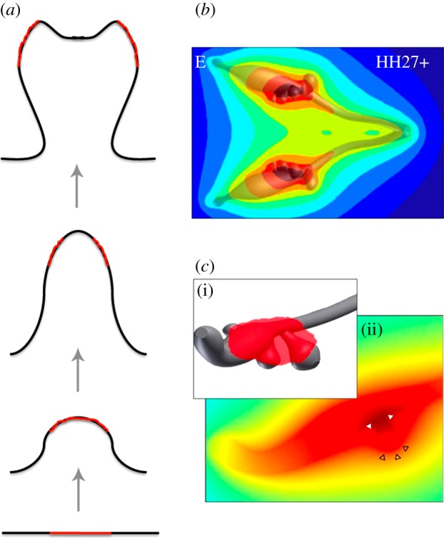 Figure 10.