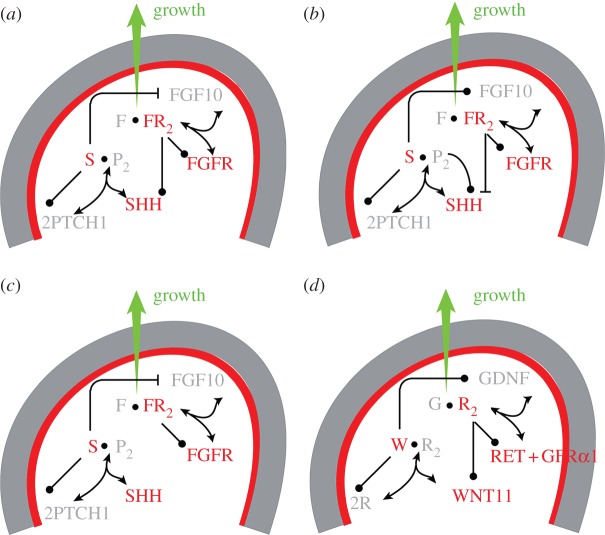 Figure 4.