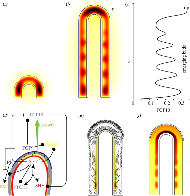 Figure 11.