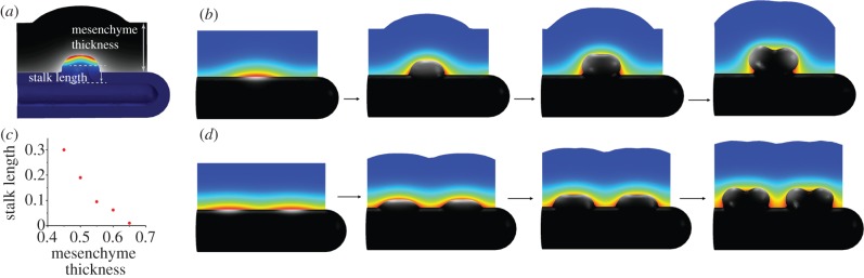 Figure 13.