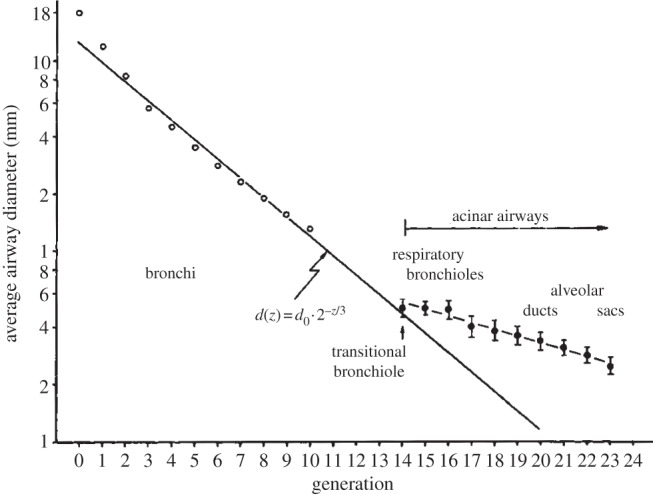 Figure 7.