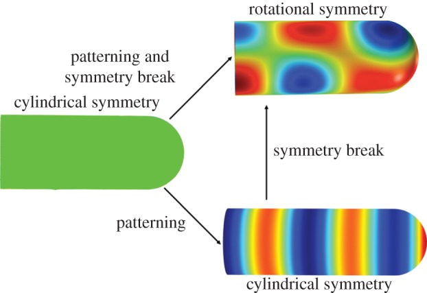 Figure 5.