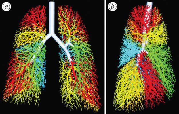 Figure 6.