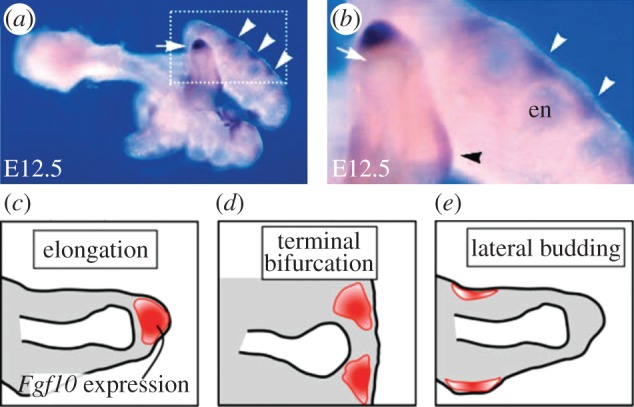 Figure 3.