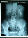 Fig.3