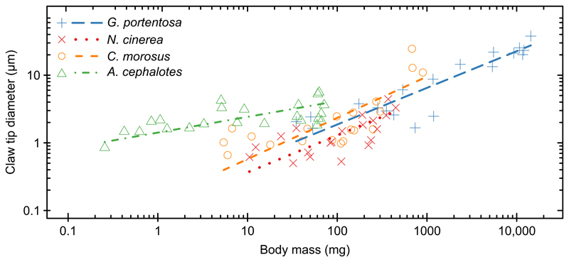 Fig. 4