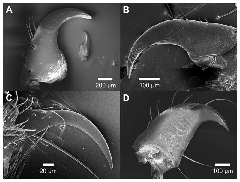 Fig. 2