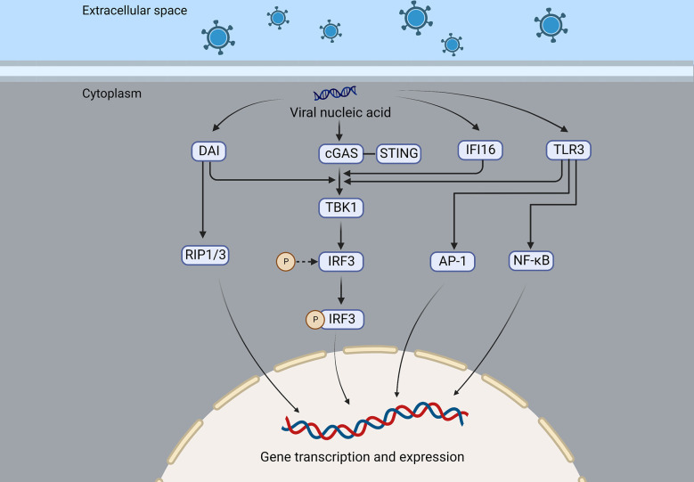 Figure 2